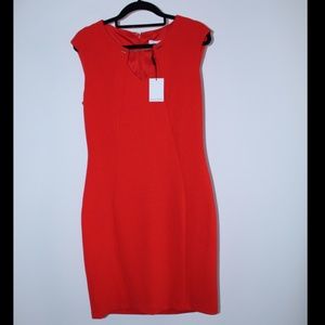 Calvin Klein Red Dress Size 6